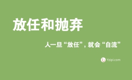 【玛家SEO】如何提高网站的整体网页收录率？提高网站流量