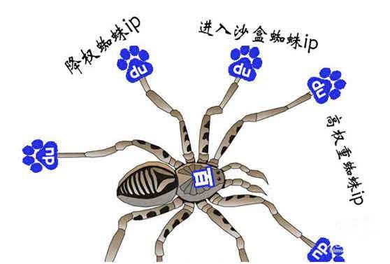 【玛多网站建设】网站建设的步骤有哪些？详细网站建设流程